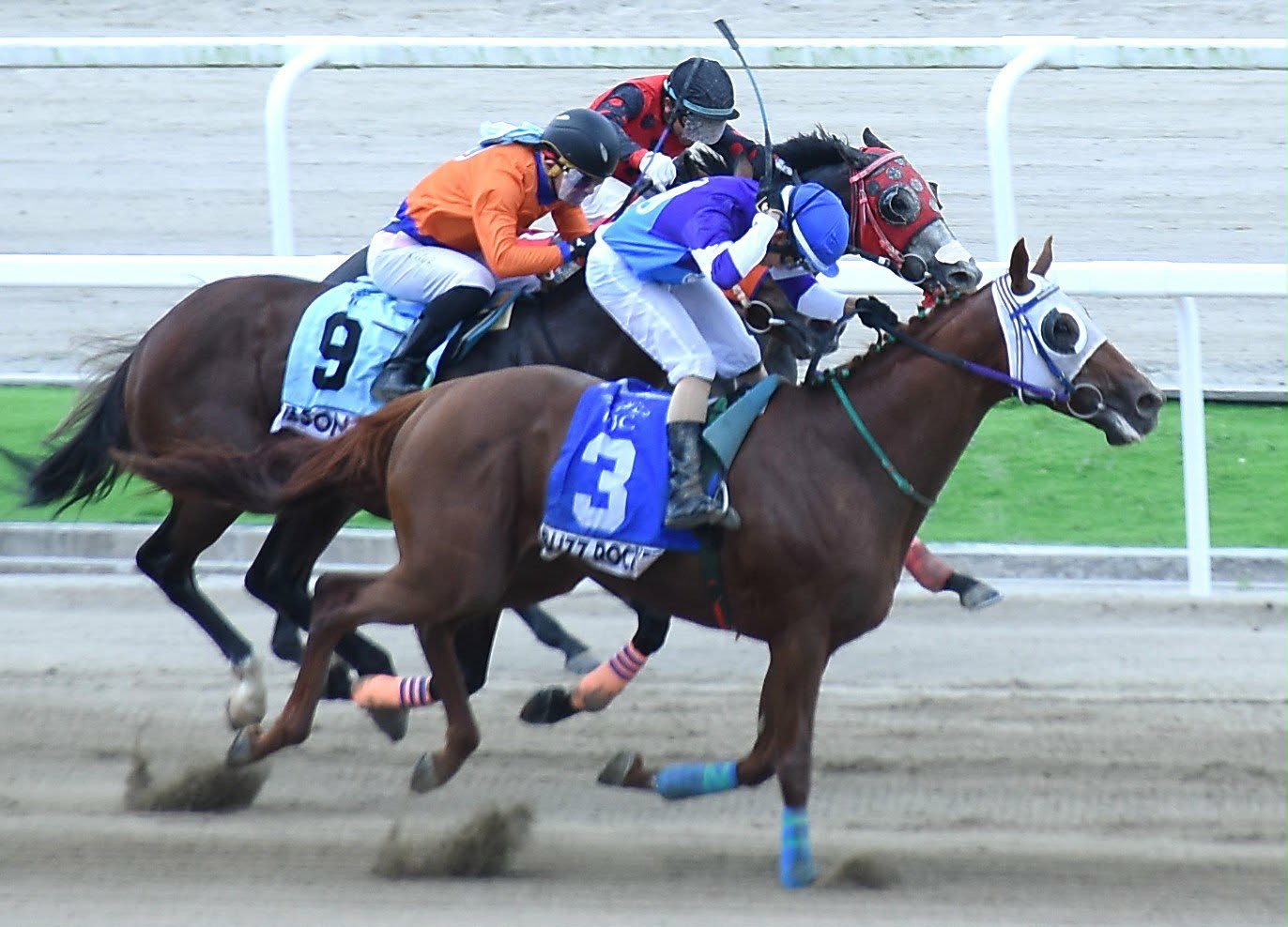 California Chrome's Half Brother Rockets to Victory