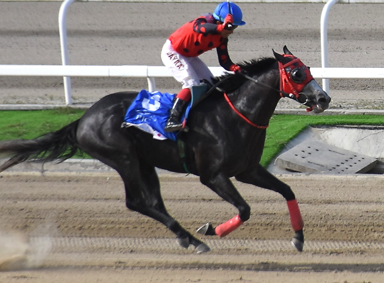 Tough Customer Relentless / Bea Bell Bounces Back