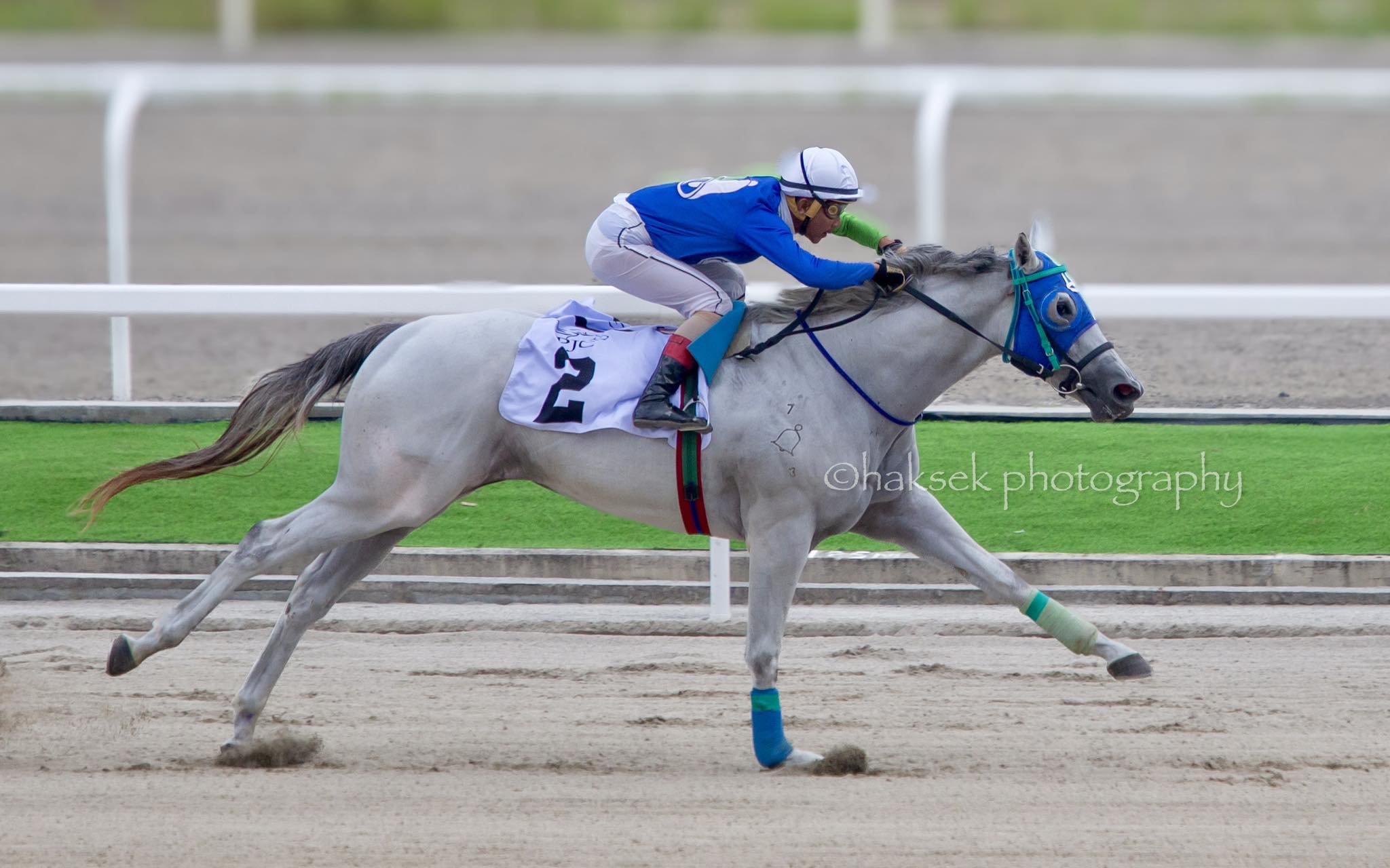 Isa Bell Chasing the Crown