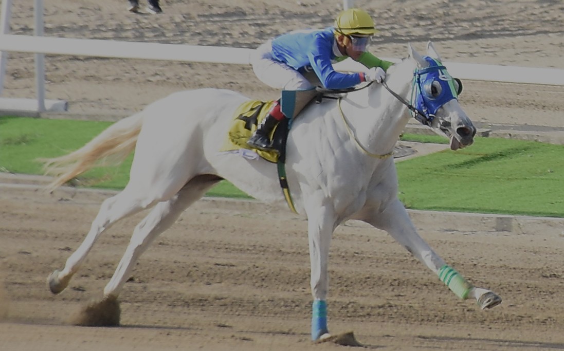 Bea Bell can Bounce Back | Philippine Jockey Club