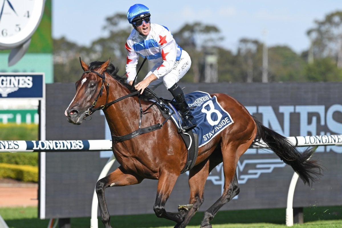 Golden Slipper Winners Progeny Land in the Philippines