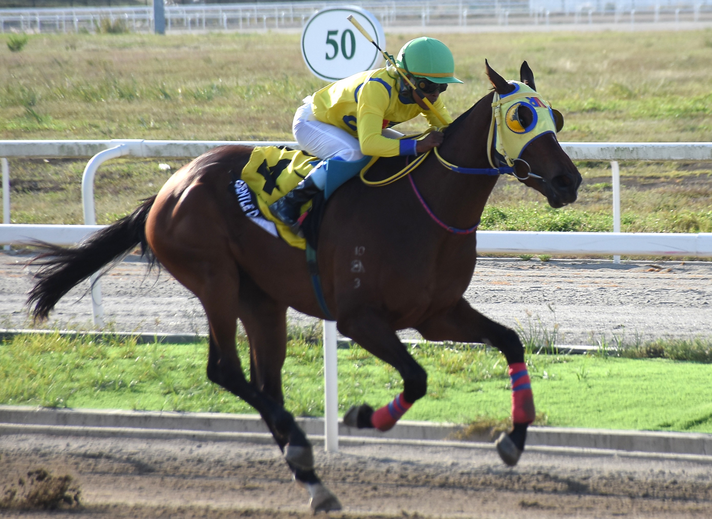 Abalos Holds the Aces in Sunday’s Triple Crown