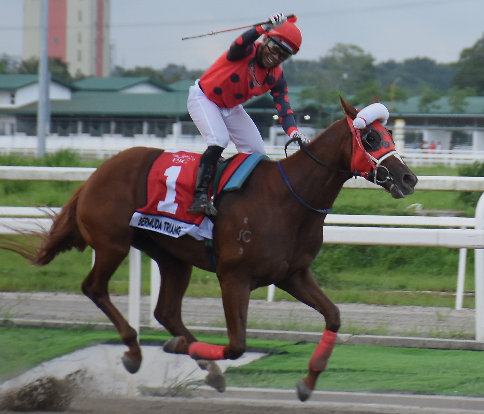 Bermuda Triangle Sensational in Triple Crown Win
